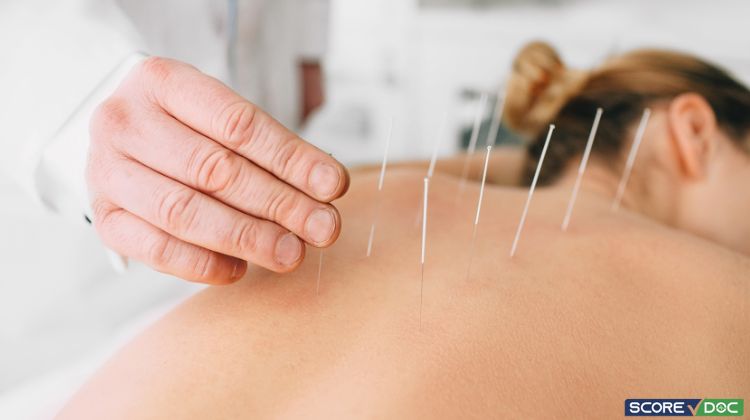 Top 10 Acupuncture Centers in and Around Vienna, VA